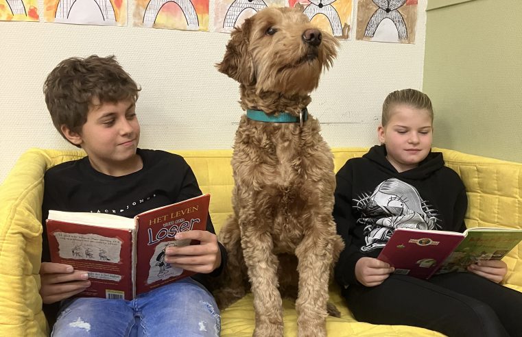 Een hond op school; “Het is veel meer dan alleen mijn huisdier naar de klas meenemen”