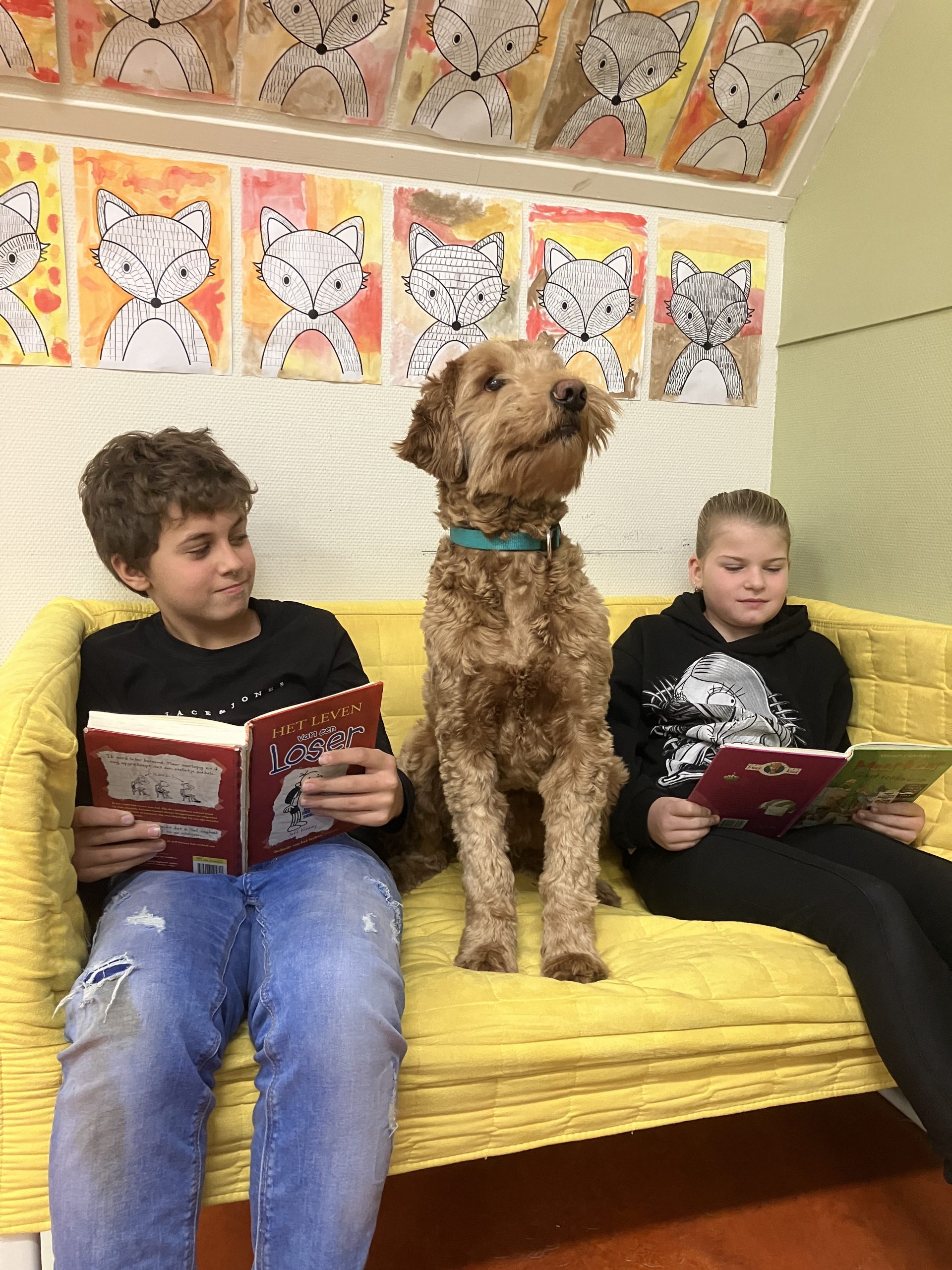 Een hond op school; “Het is veel meer dan alleen mijn huisdier naar de klas meenemen”