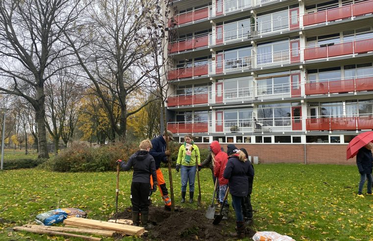 Succesvolle boomfeestdag in Assen-Oost