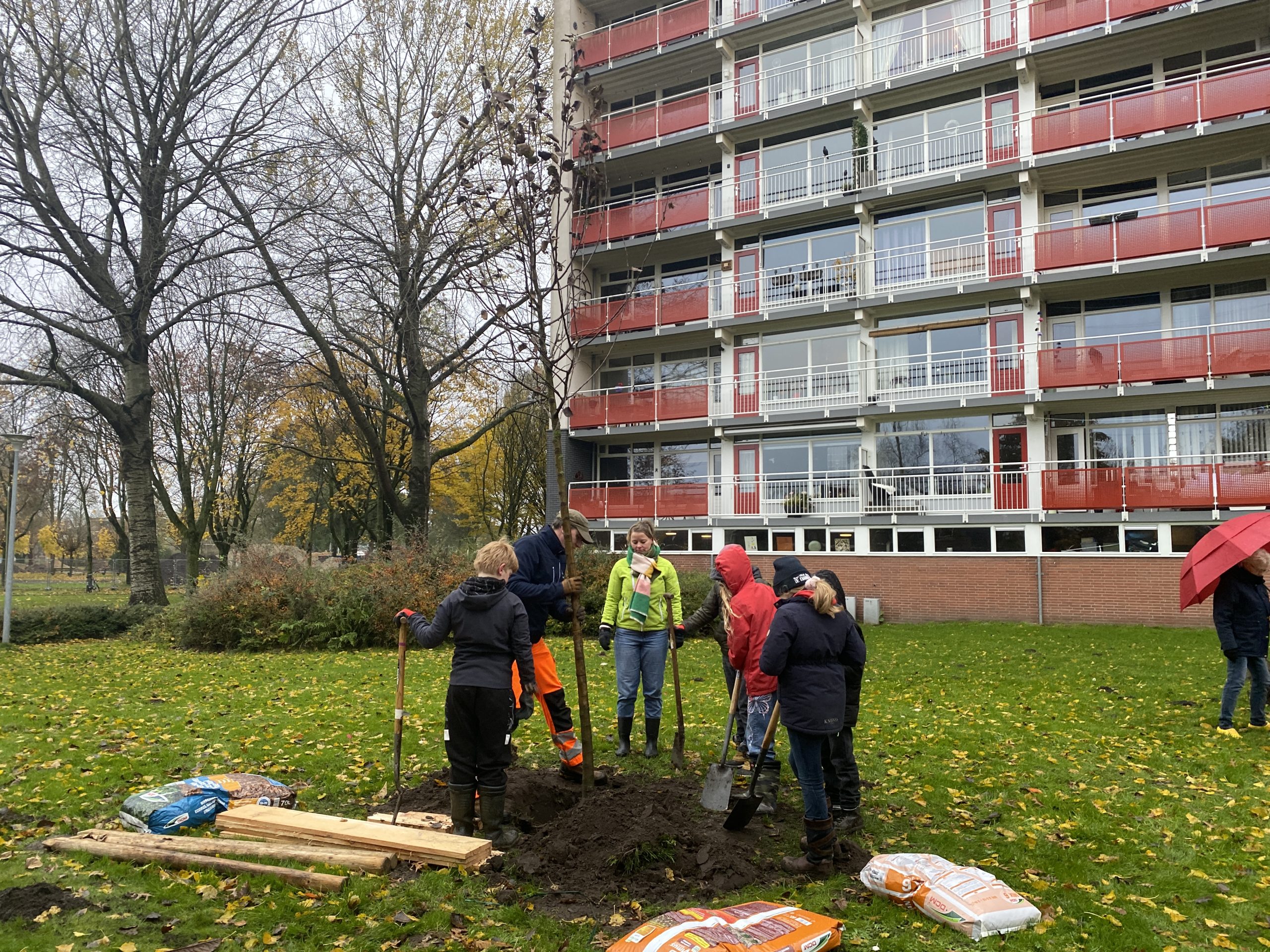 Succesvolle boomfeestdag in Assen-Oost